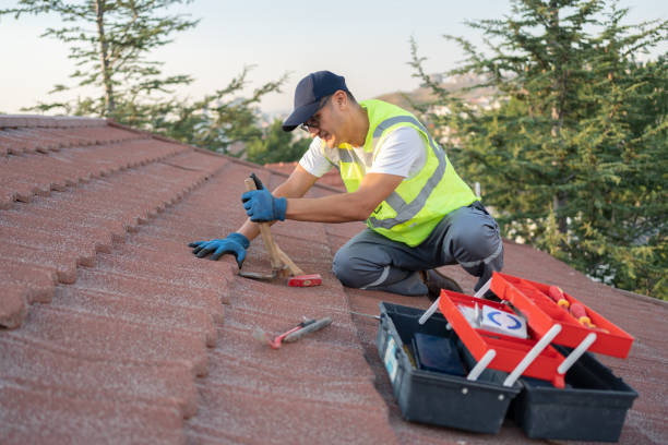 Best Roof Gutter Cleaning  in Manhattan, IL