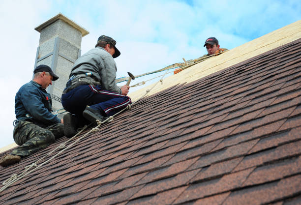 Best Flat Roof Repair Services  in Manhattan, IL