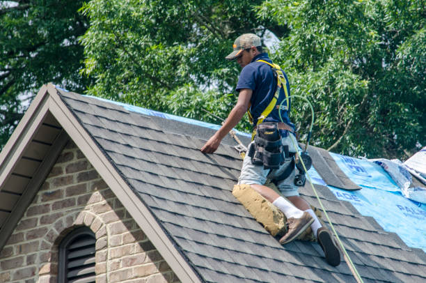 Best Best Roofing Contractors  in Manhattan, IL