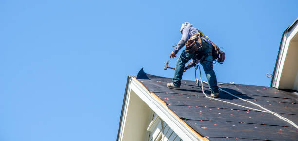 Professional Roofing Contractor in Manhattan, IL